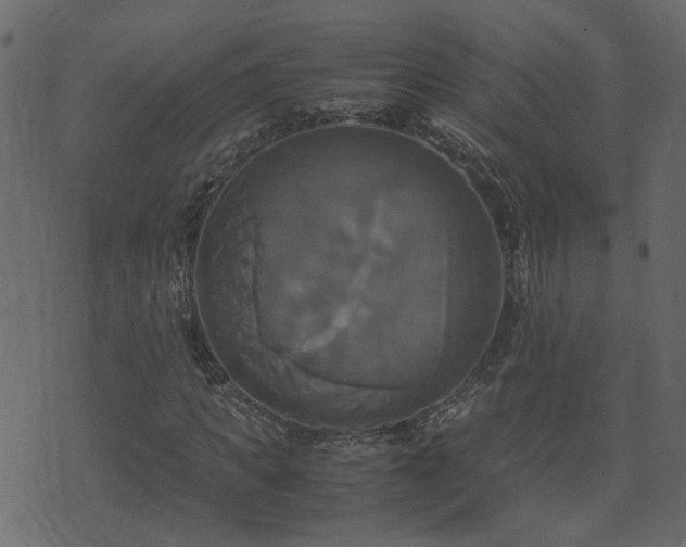 X0000071780917200606301216