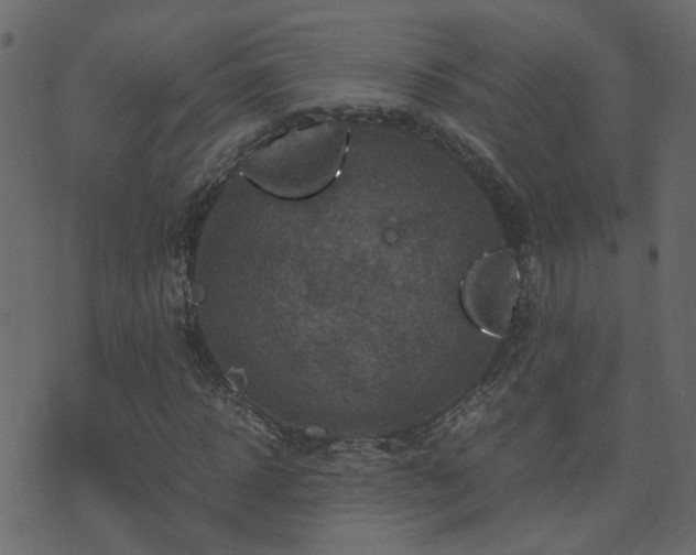 X0000071780918200606301216