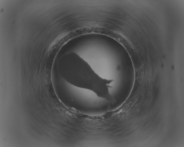 X0000071780919200606301216