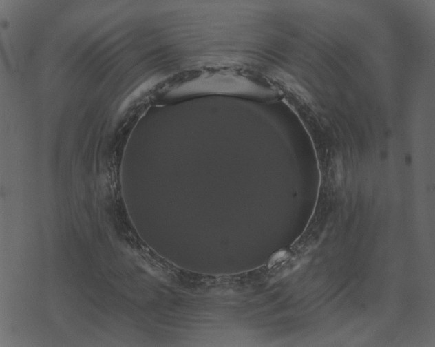 X0000071780920200606301216