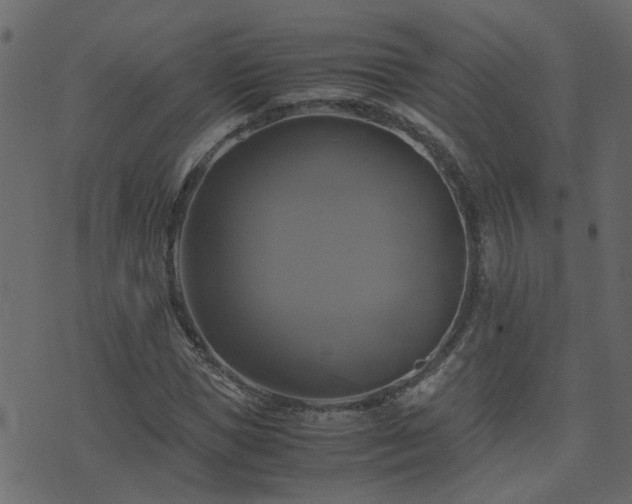 X0000071780921200606301216