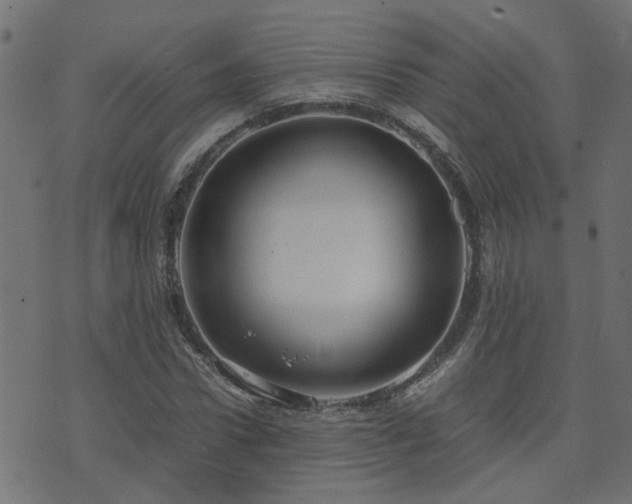 X0000071780922200606301216