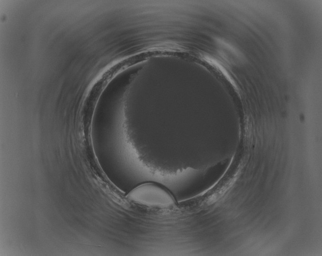 X0000071780923200606301216