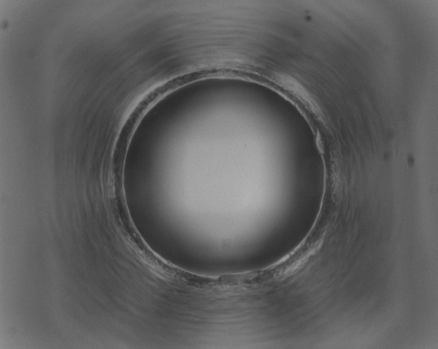 X0000071780924200606301216