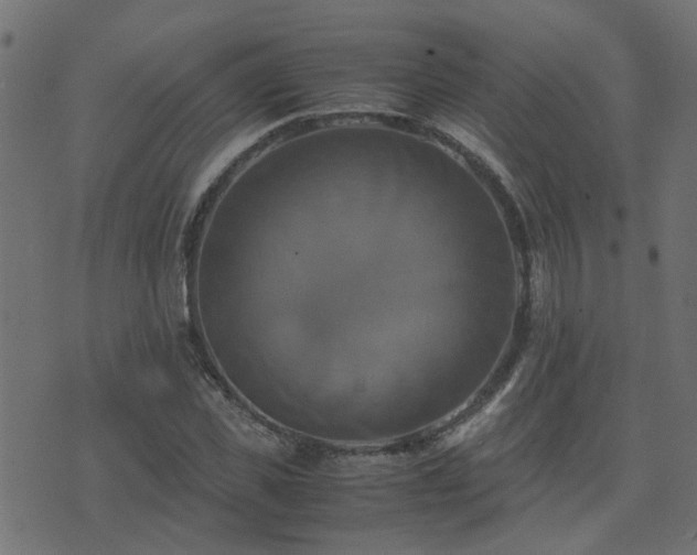 X0000071780925200606301216