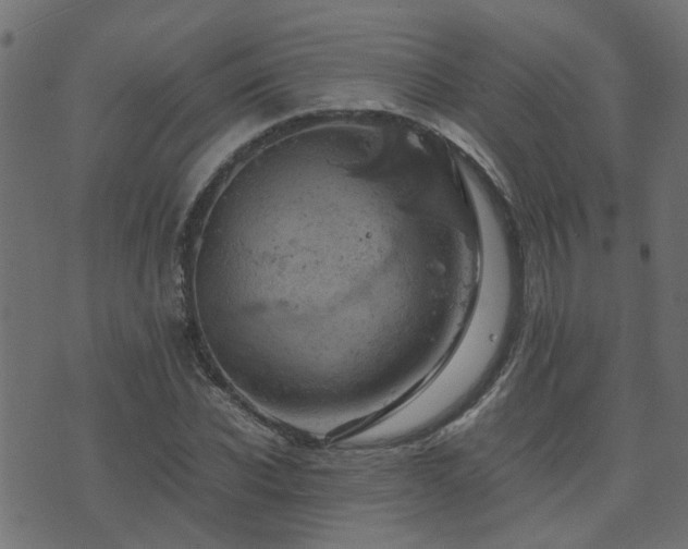 X0000071780926200606301216