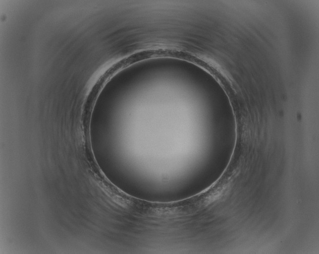 X0000071780927200606301216