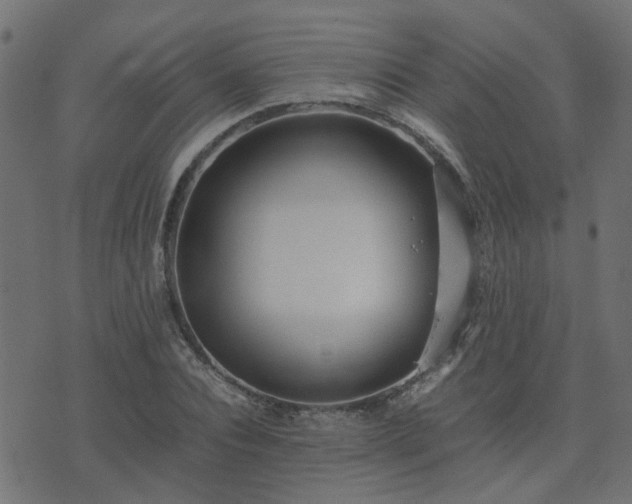 X0000071780928200606301216