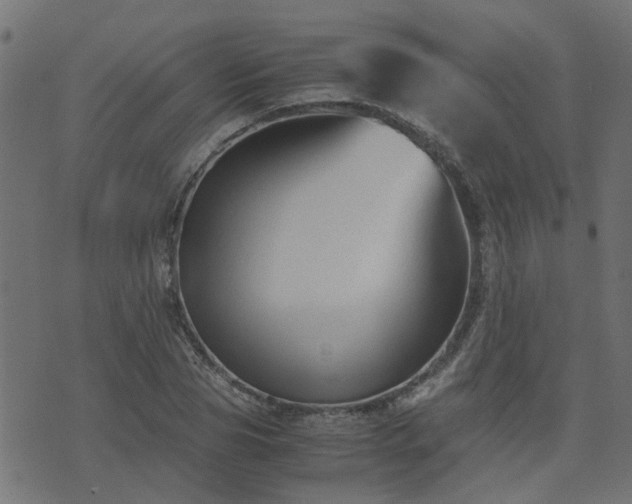 X0000071780929200606301216