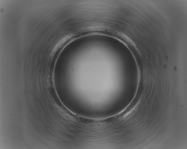 X0000071780930200606301216