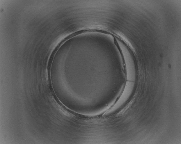 X0000071780932200606301216