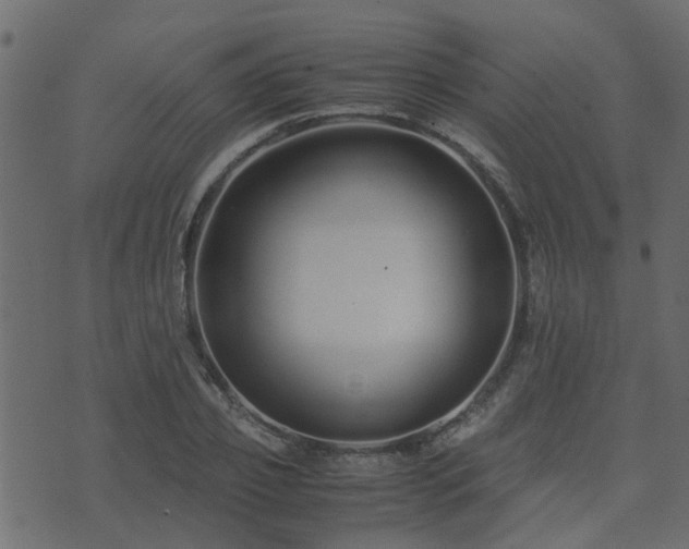 X0000071780933200606301216