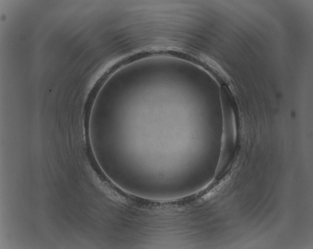 X0000071780934200606301216