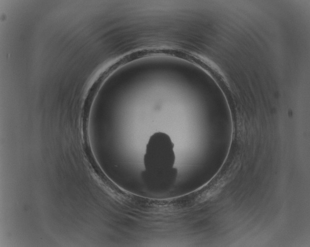 X0000071780935200606301216