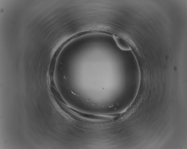 X0000071780936200606301216