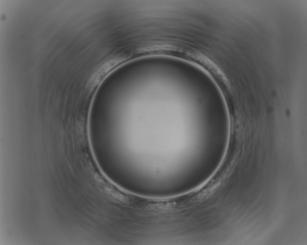 X0000071780937200606301216