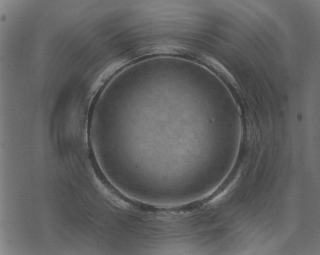 X0000071780938200606301216