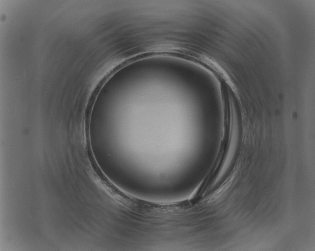 X0000071780939200606301217