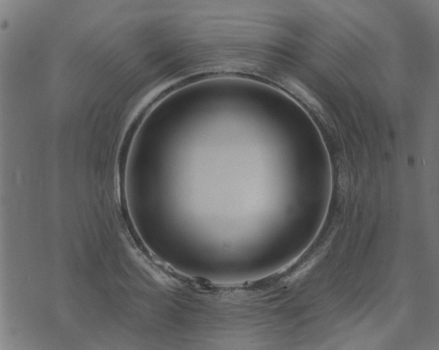 X0000071780940200606301217