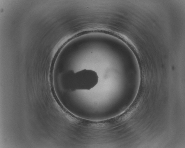 X0000071780943200606301217