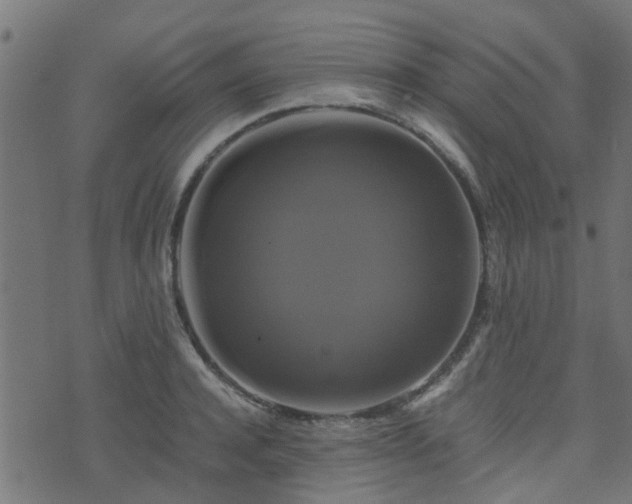 X0000071780944200606301217