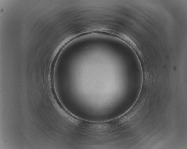 X0000071780947200606301217