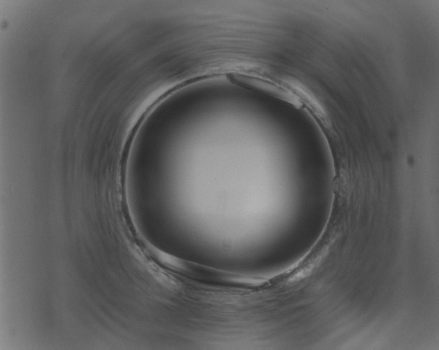 X0000071780948200606301217