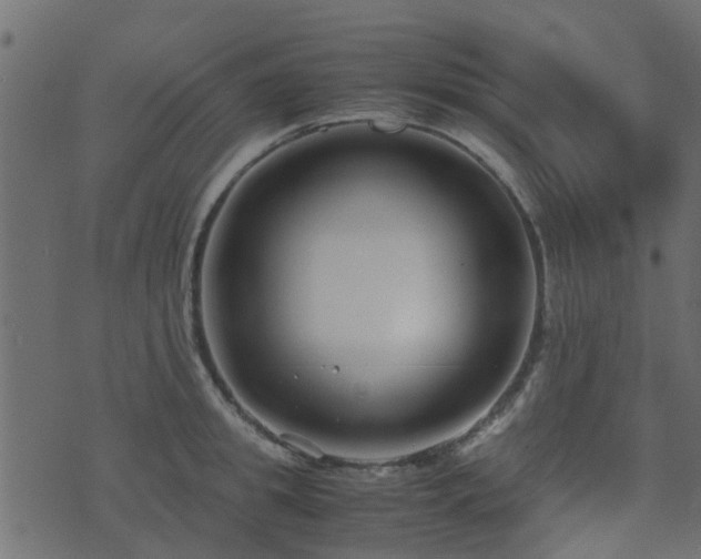 X0000071780949200606301217