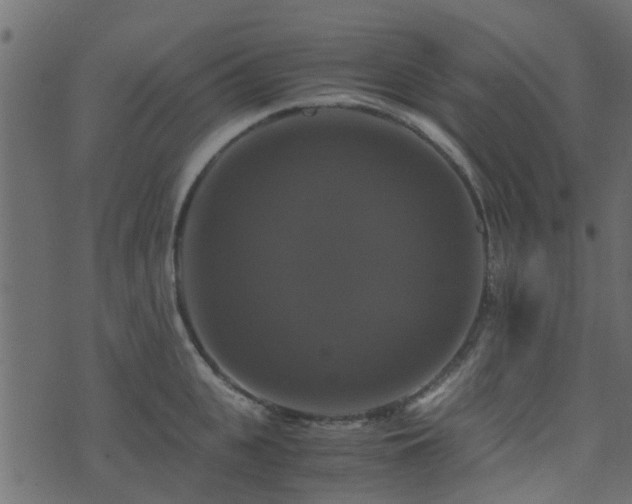 X0000071780951200606301217