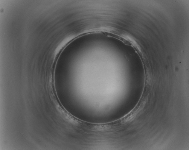 X0000071780952200606301217