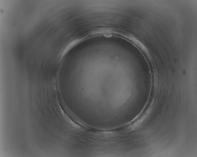 X0000071780953200606301217