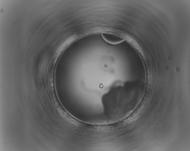 X0000071780954200606301217