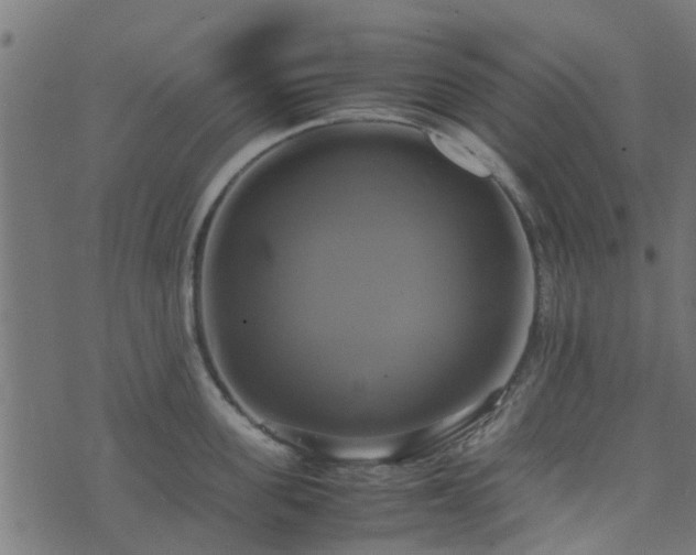 X0000071780955200606301217