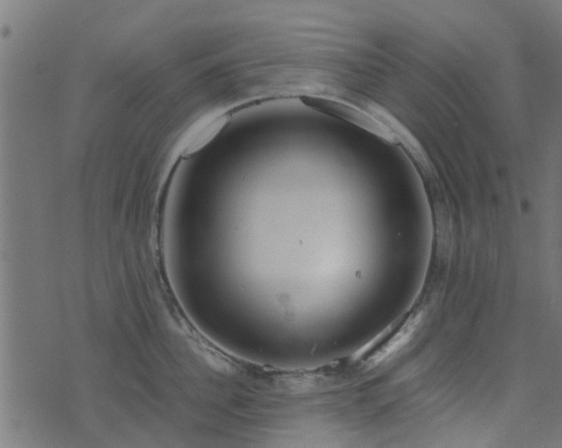 X0000071780956200606301217