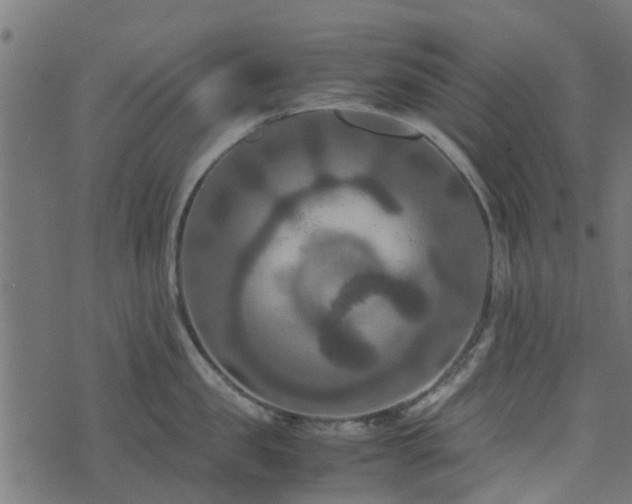 X0000071780957200606301217