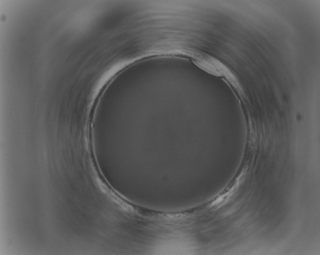 X0000071780958200606301217