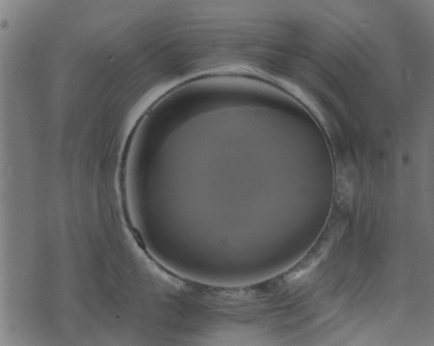 X0000071780959200606301217