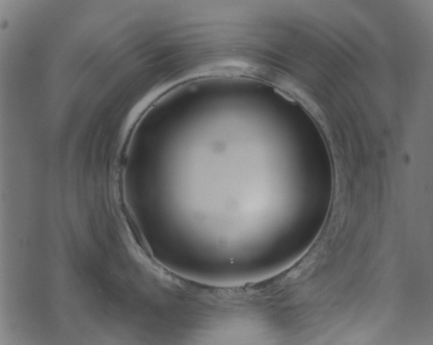 X0000071780960200606301217