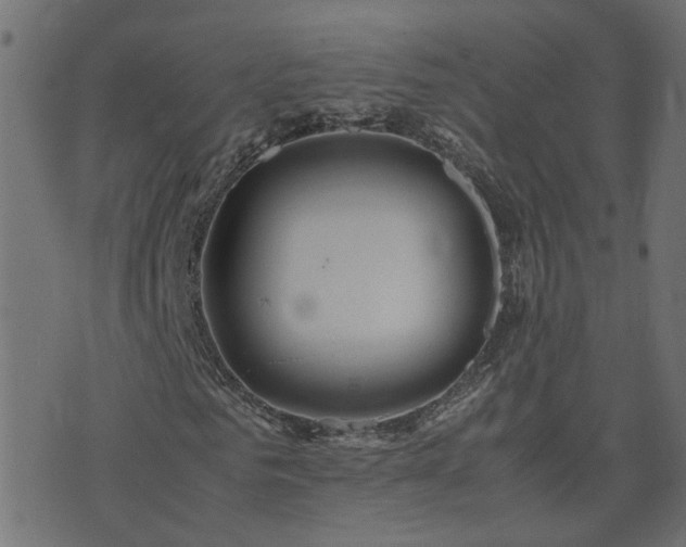 X0000071780961200606301216