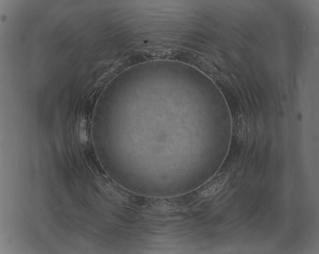 X0000071780962200606301216