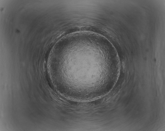 X0000071780963200606301216