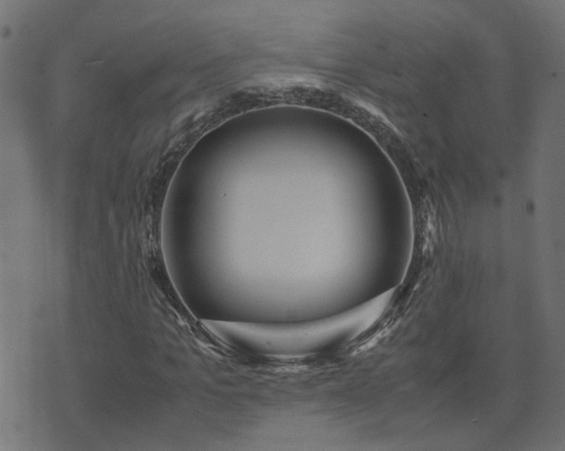 X0000071780965200606301216