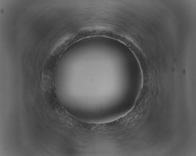 X0000071780967200606301216