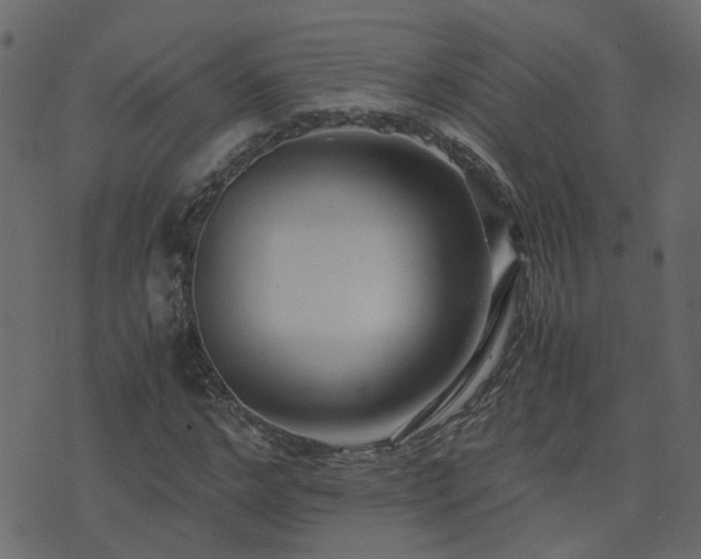 X0000071780968200606301216