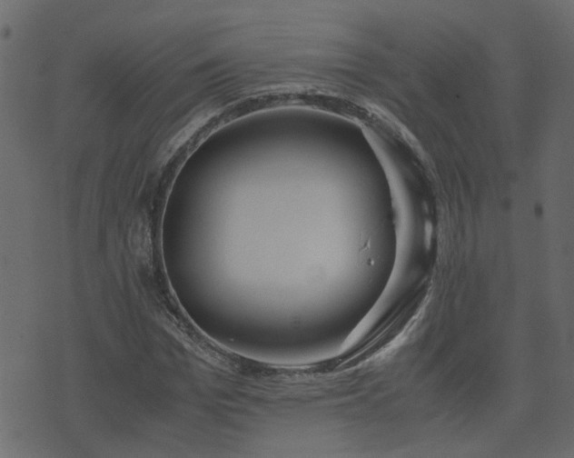 X0000071780969200606301216