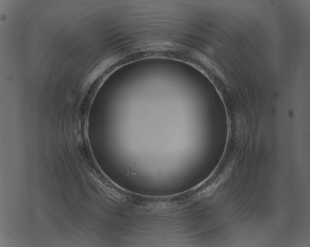 X0000071780970200606301216