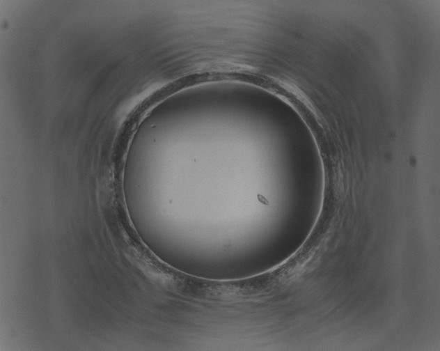 X0000071780971200606301216