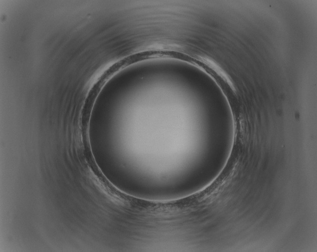 X0000071780972200606301216