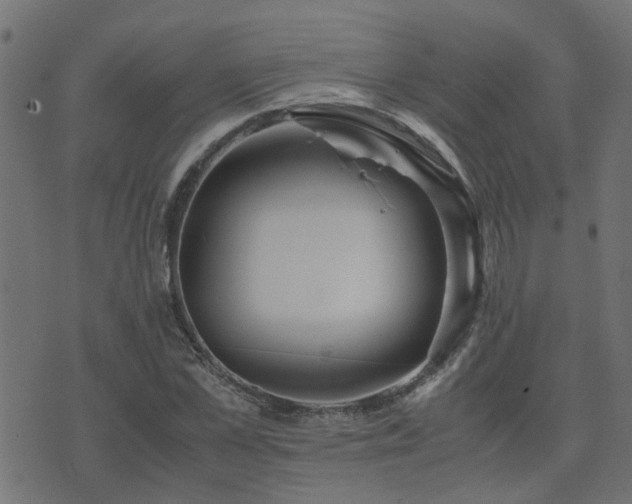 X0000071780973200606301216