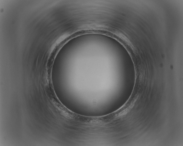 X0000071780974200606301216